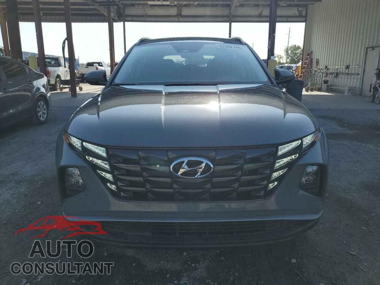 HYUNDAI TUCSON 2024 - 5NMJB3DE2RH395253