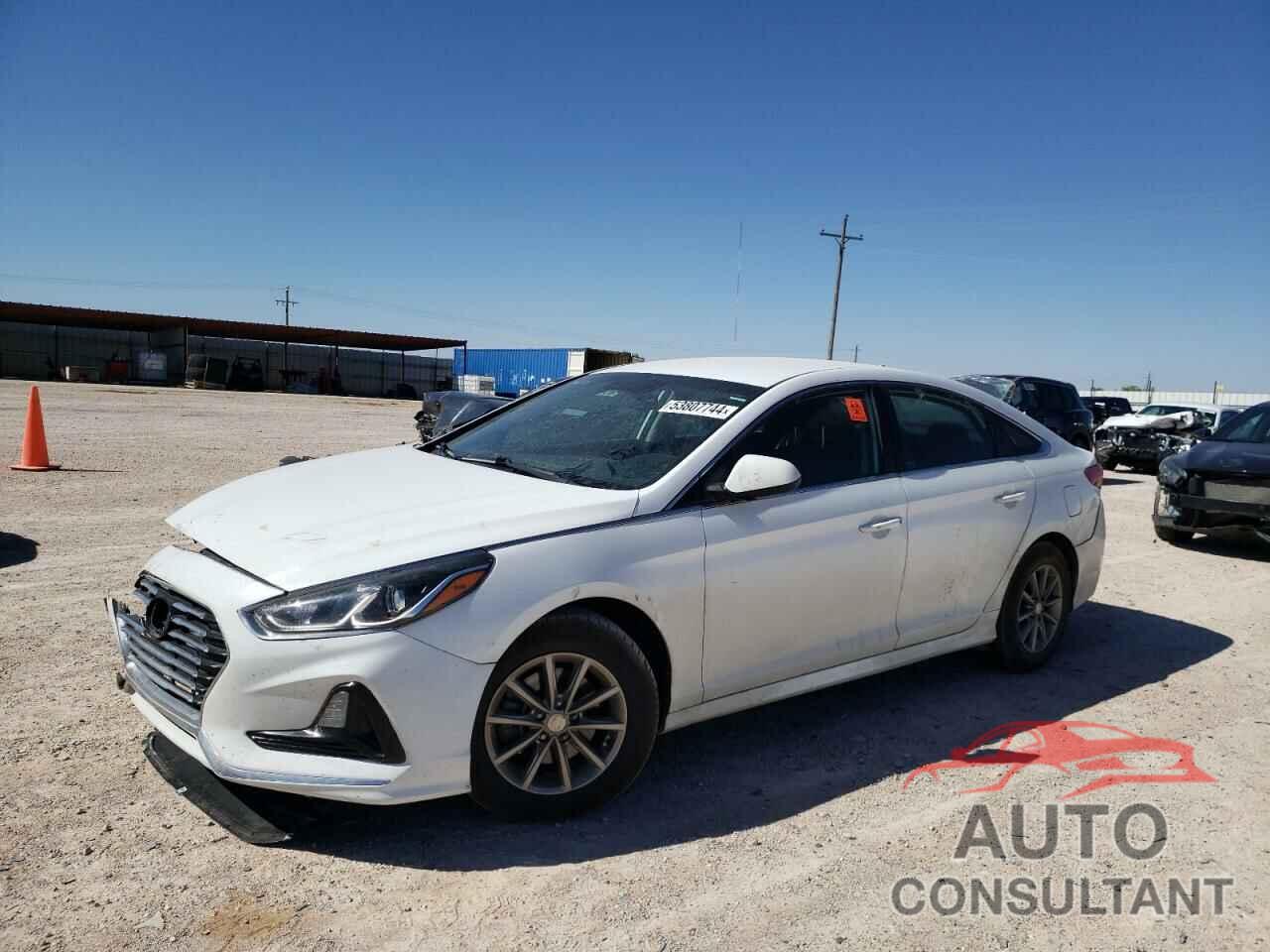 HYUNDAI SONATA 2018 - 5NPE24AF5JH696787
