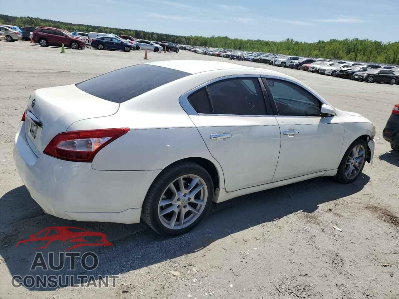 NISSAN MAXIMA 2009 - 1N4AA51E89C836598