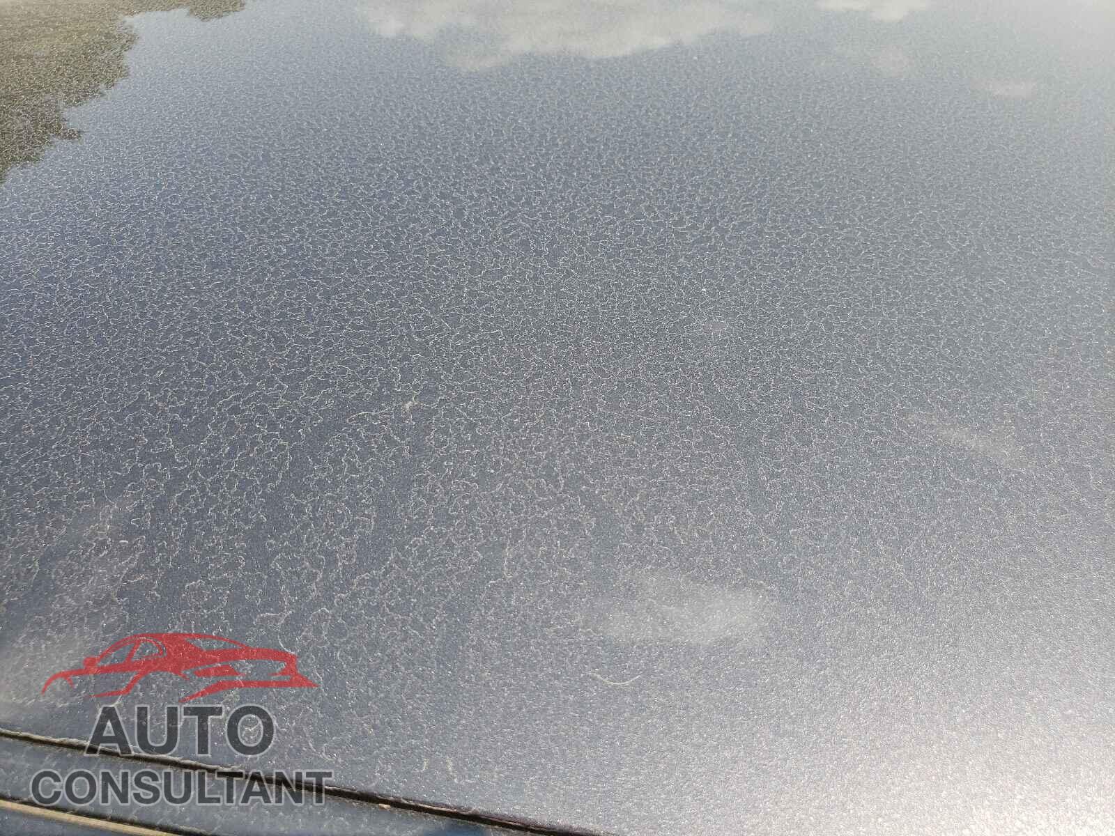 DODGE CHALLENGER 2019 - 2C3CDZFJ9KH606941
