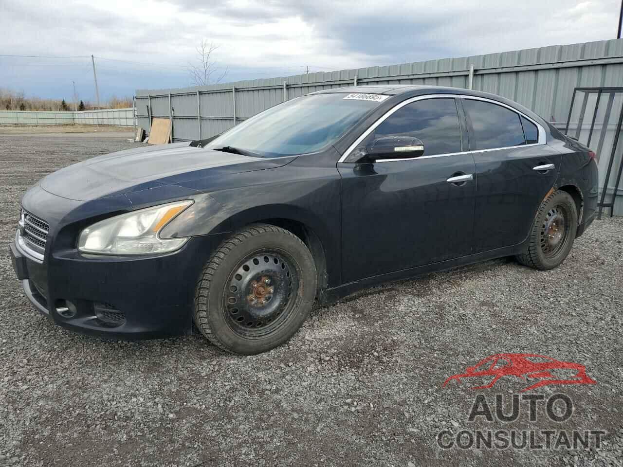 NISSAN MAXIMA 2011 - 1N4AA5AP6BC832413