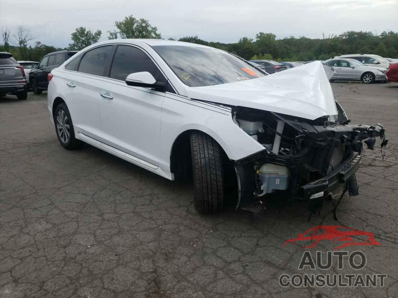 HYUNDAI SONATA 2016 - 5NPE34AF1GH365162