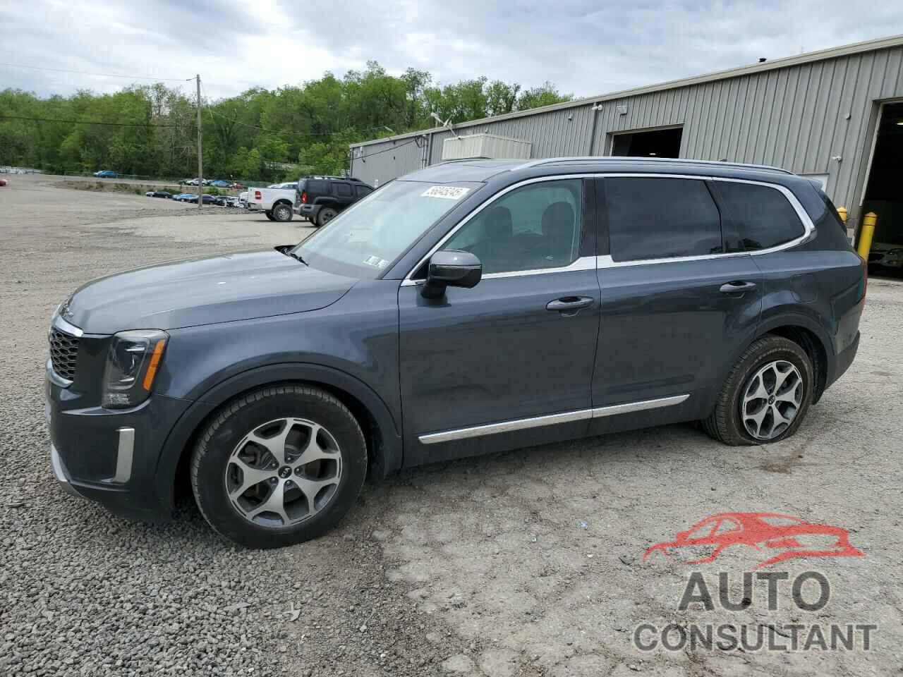 KIA TELLURIDE 2021 - 5XYP3DHCXMG148538
