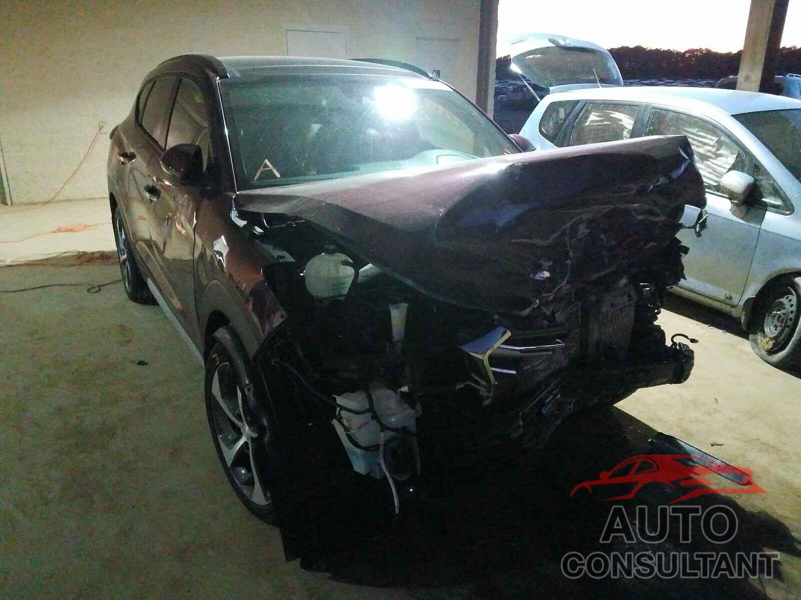 HYUNDAI TUCSON 2017 - KM8J33A20HU497158