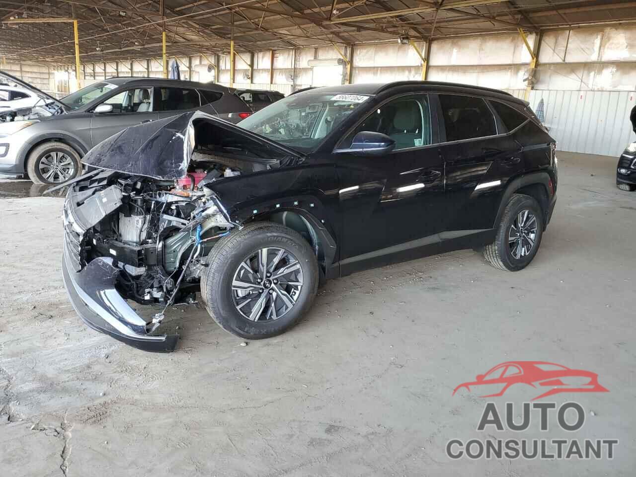 HYUNDAI TUCSON 2024 - KM8JBCD10RU181606