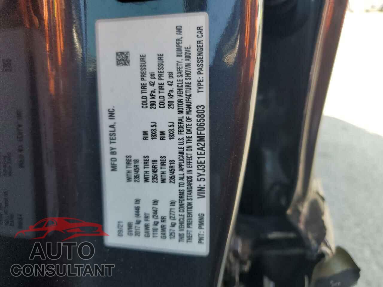 TESLA MODEL 3 2021 - 5YJ3E1EA2MF065803