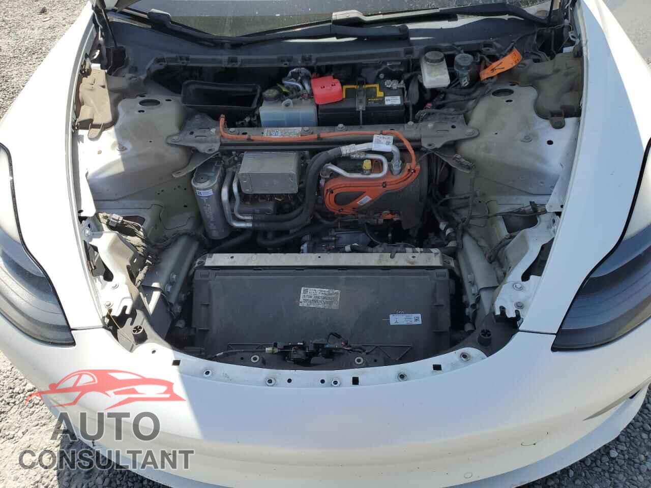 TESLA MODEL 3 2021 - 5YJ3E1EB3MF937981