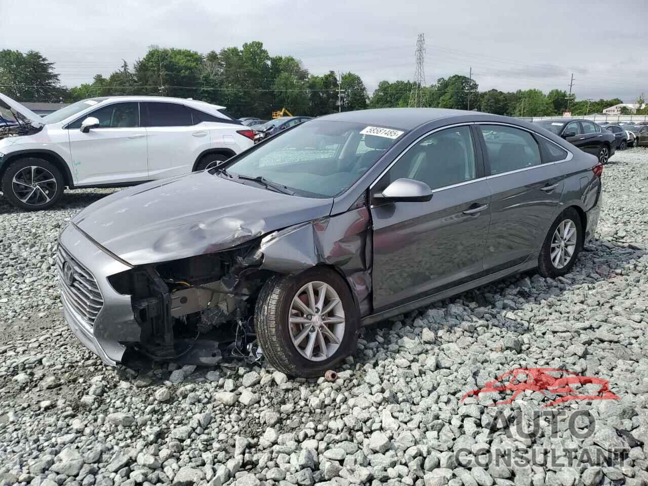 HYUNDAI SONATA 2019 - 5NPE24AF9KH808864