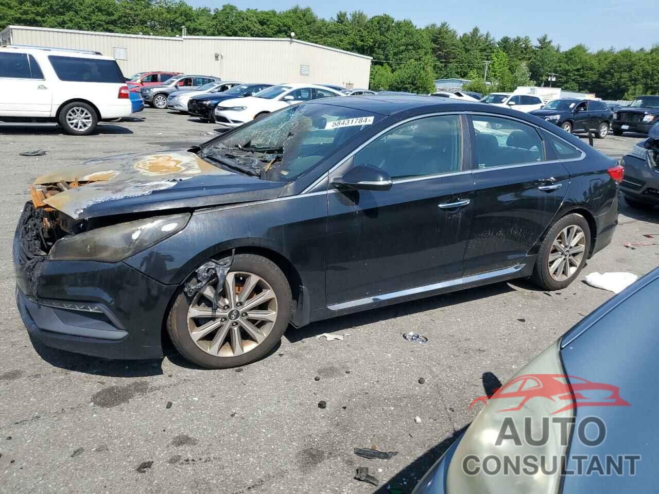 HYUNDAI SONATA 2016 - 5NPE34AF9GH341000