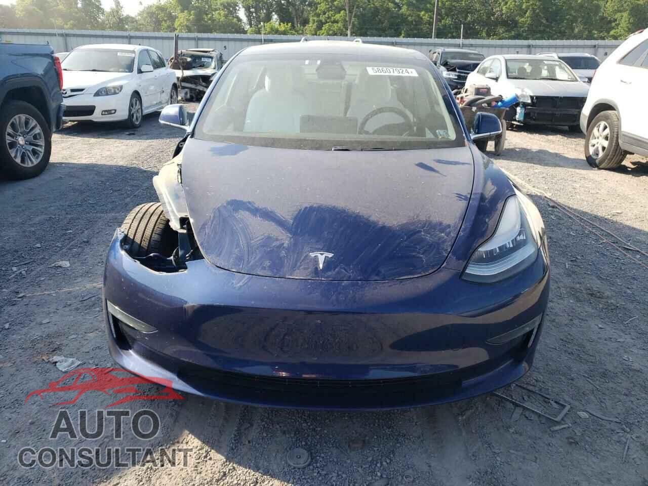 TESLA MODEL 3 2019 - 5YJ3E1EB1KF390979