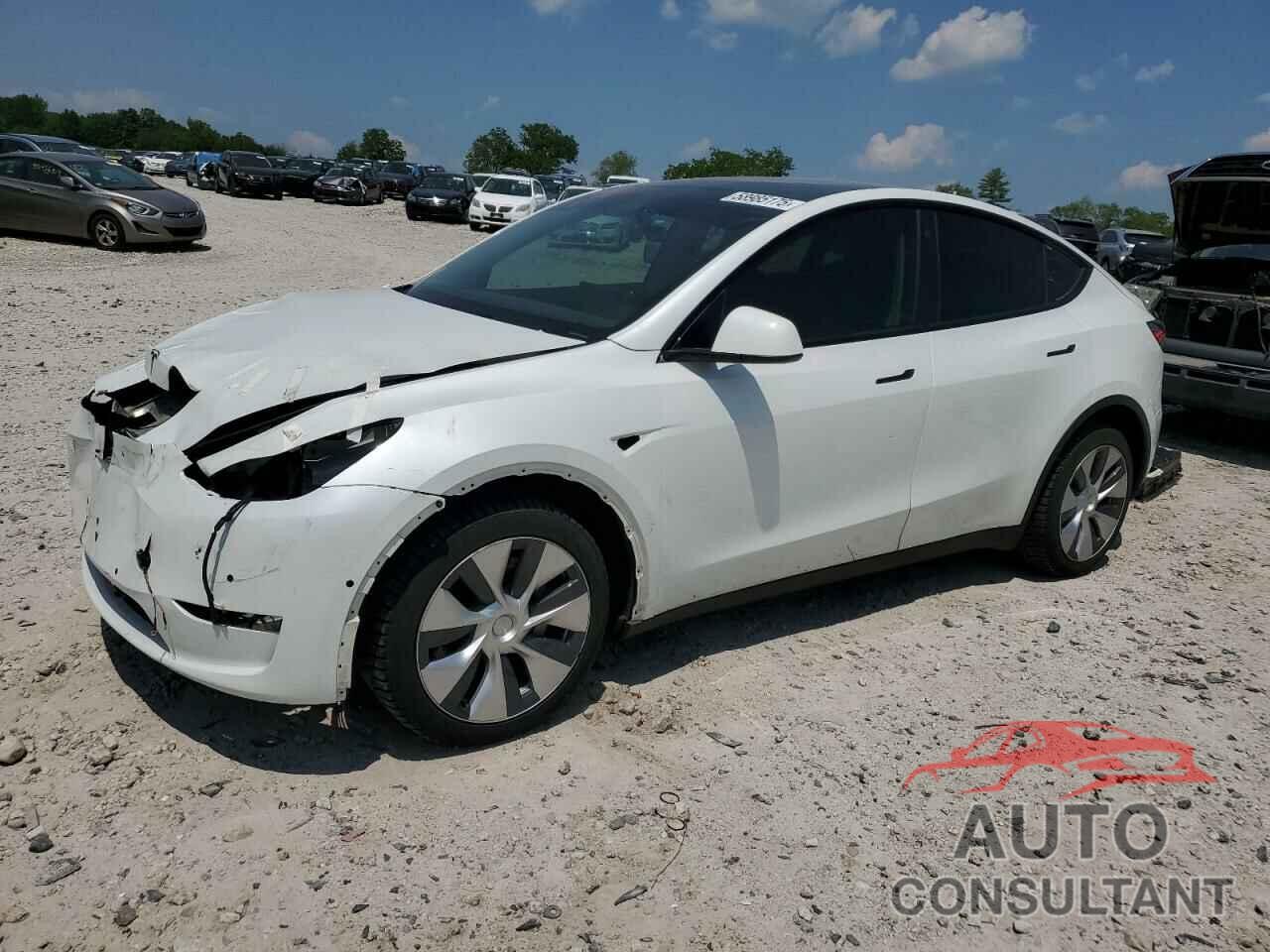 TESLA MODEL Y 2021 - 5YJYGDEE4MF301341
