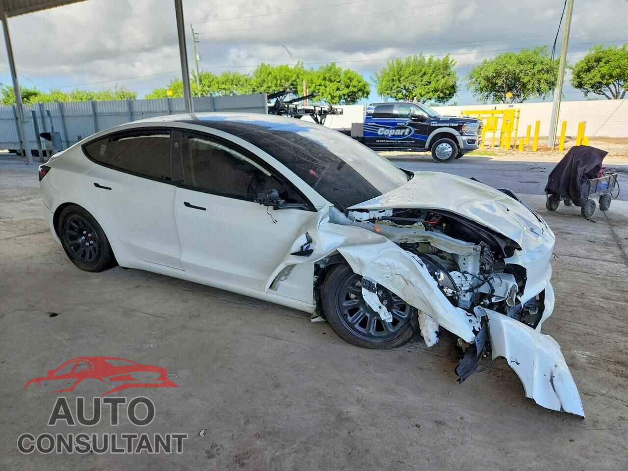 TESLA MODEL 3 2025 - 5YJ3E1EA2SF131859