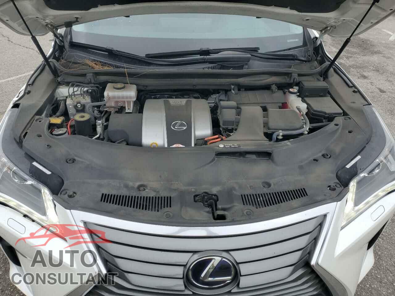 LEXUS RX450 2019 - 2T2BGMCA4KC035015