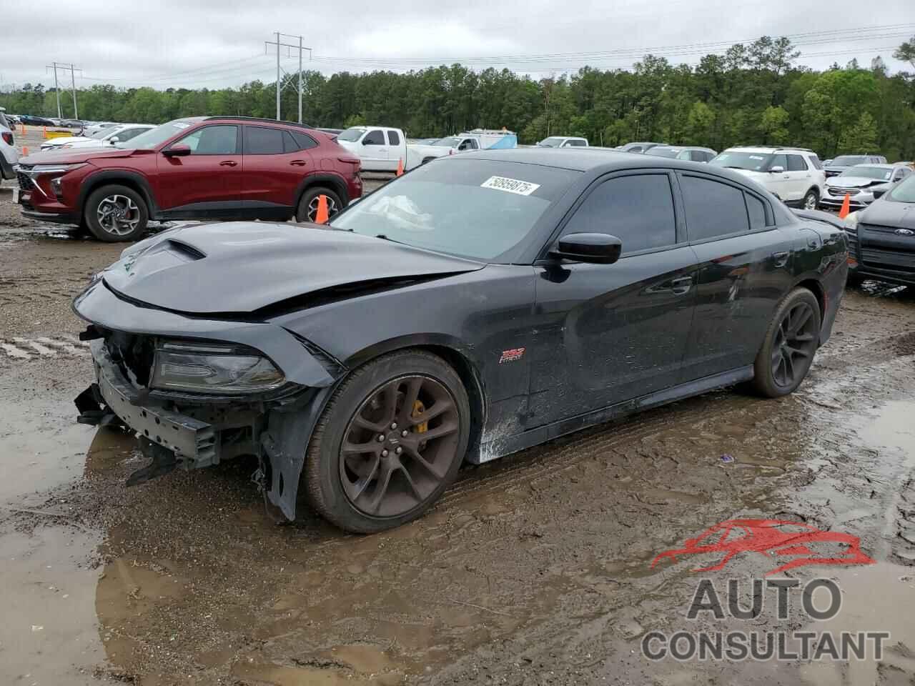 DODGE CHARGER 2020 - 2C3CDXGJ1LH156156