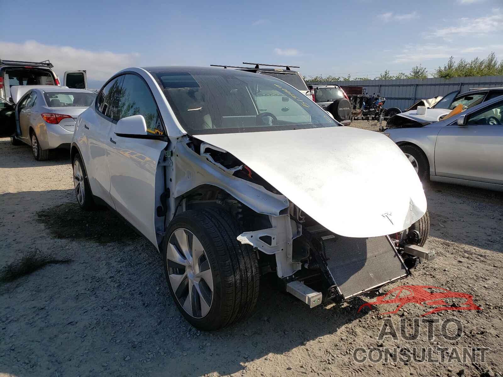 TESLA MODEL Y 2021 - 5YJYGDEE8MF081685