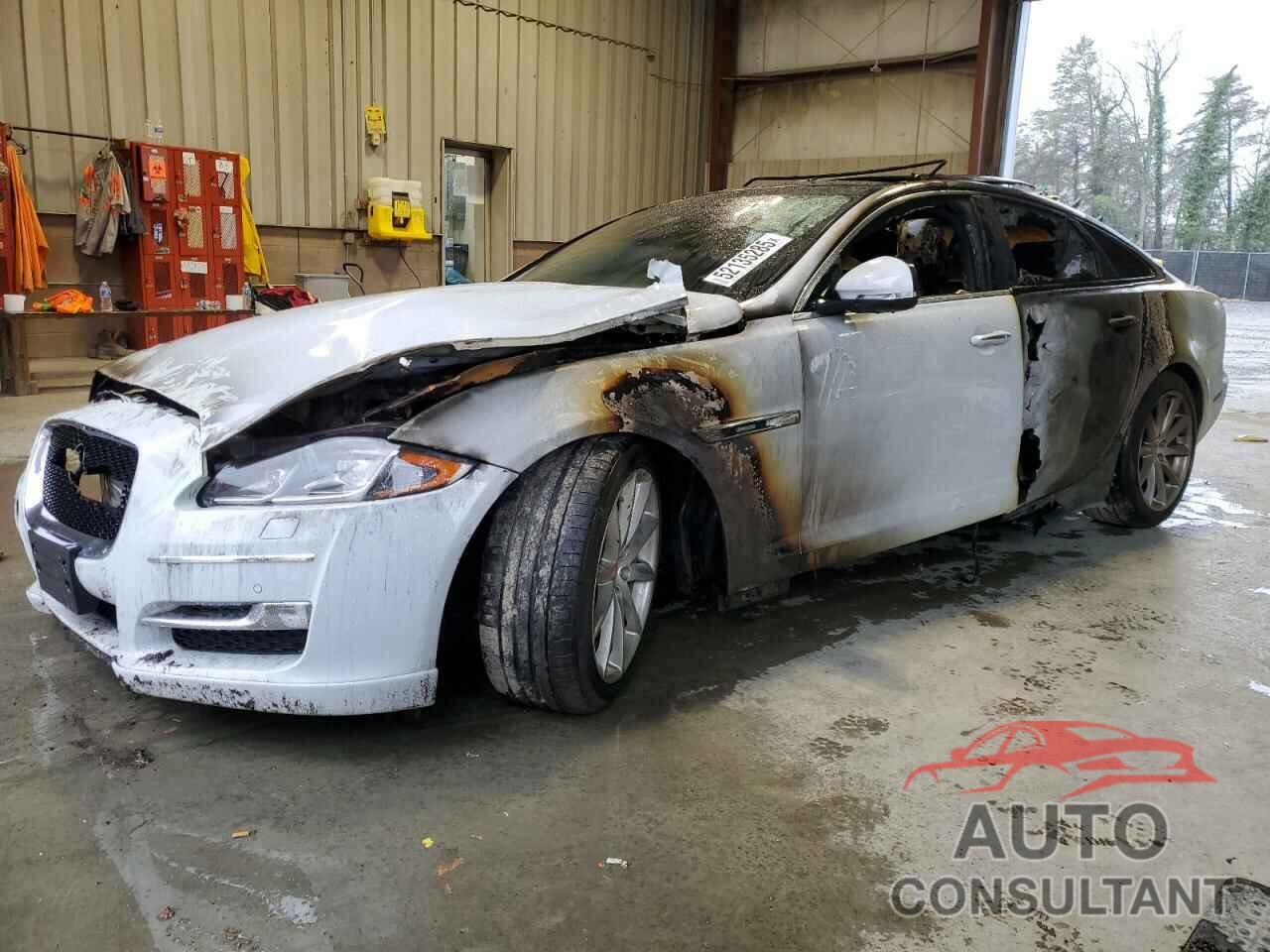JAGUAR XJ 2016 - SAJWJ1CD8G8W02055