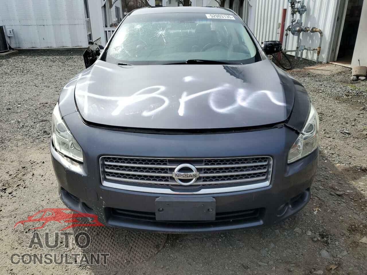 NISSAN MAXIMA 2009 - 1N4AA51E89C835161