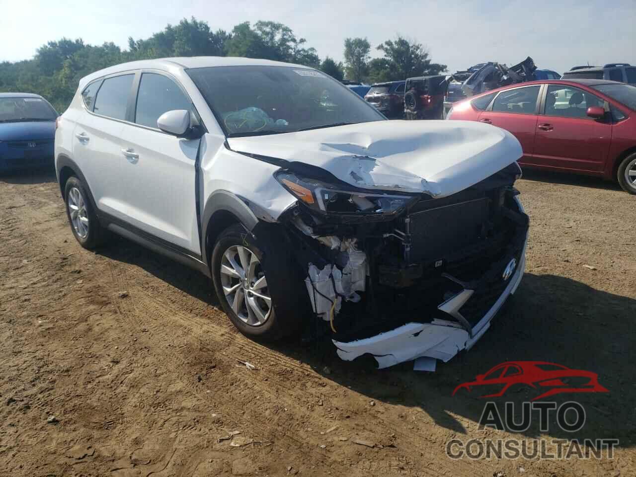 HYUNDAI TUCSON 2019 - KM8J2CA43KU074974