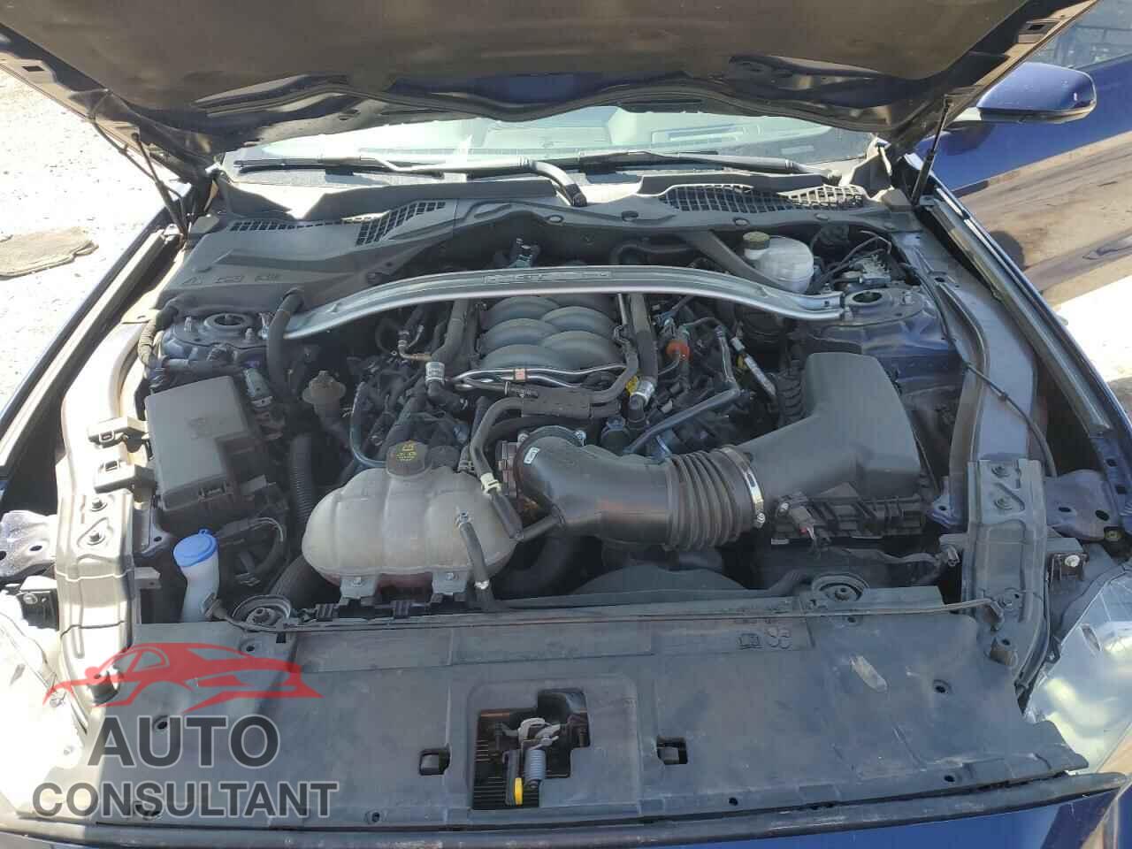 FORD MUSTANG 2019 - 1FA6P8CF2K5123203