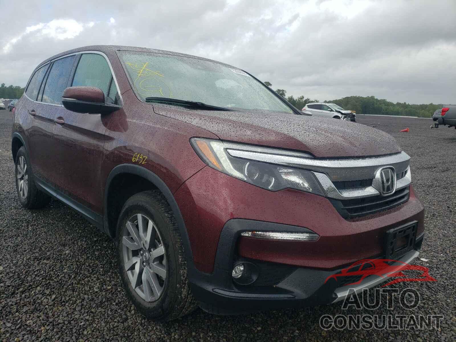 HONDA PILOT 2019 - 5FNYF6H51KB093894