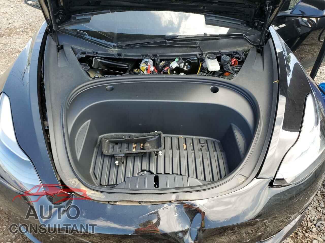 TESLA MODEL 3 2023 - 5YJ3E1EA1PF581431