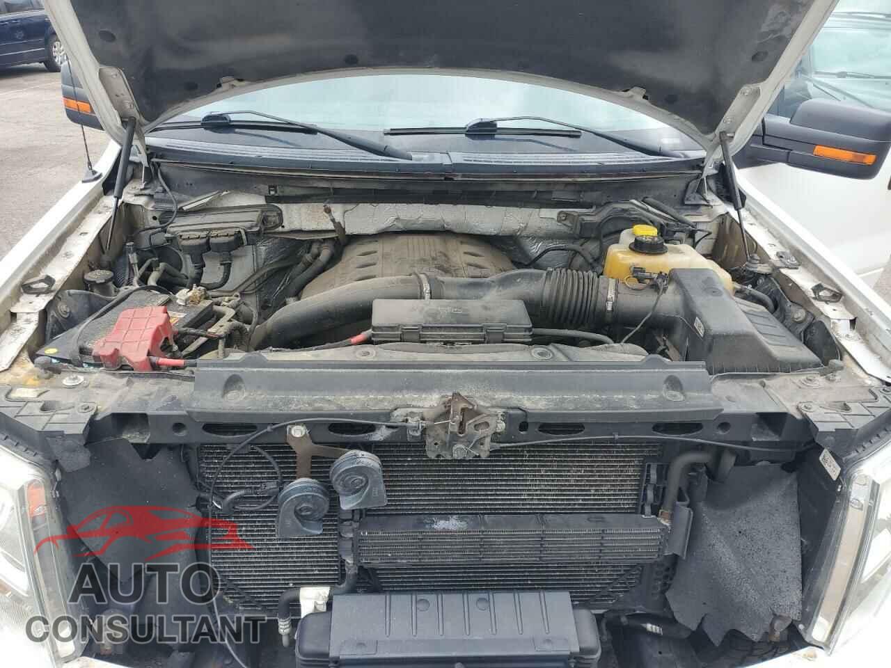 FORD F-150 2013 - 1FTFX1ET4DFD31973
