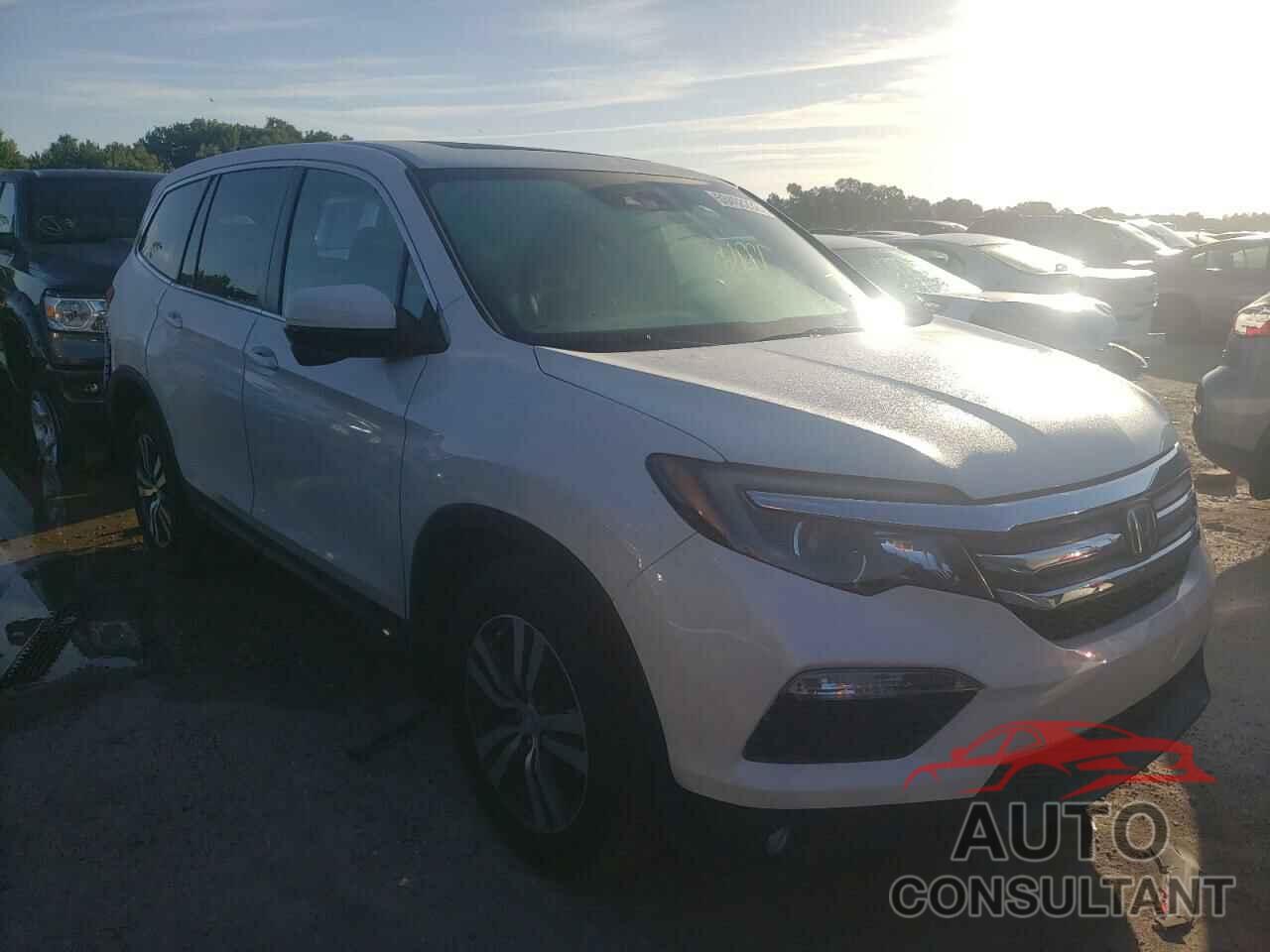 HONDA PILOT 2016 - 5FNYF6H65GB126525