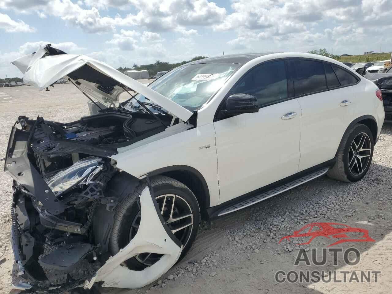 MERCEDES-BENZ GLE-CLASS 2019 - 4JGED6EB0KA154997