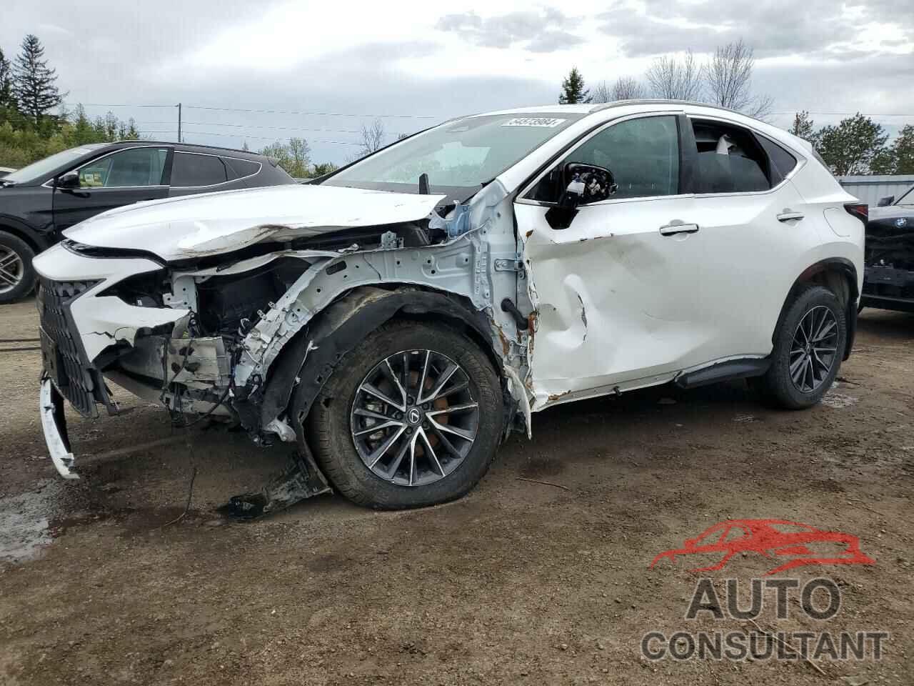 LEXUS NX 350H BA 2024 - 2T2GKCEZXRC019560