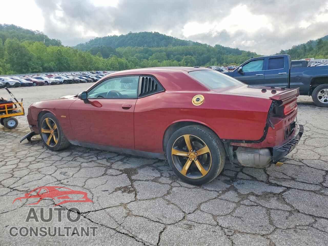 DODGE CHALLENGER 2014 - 2C3CDYAG7EH225311