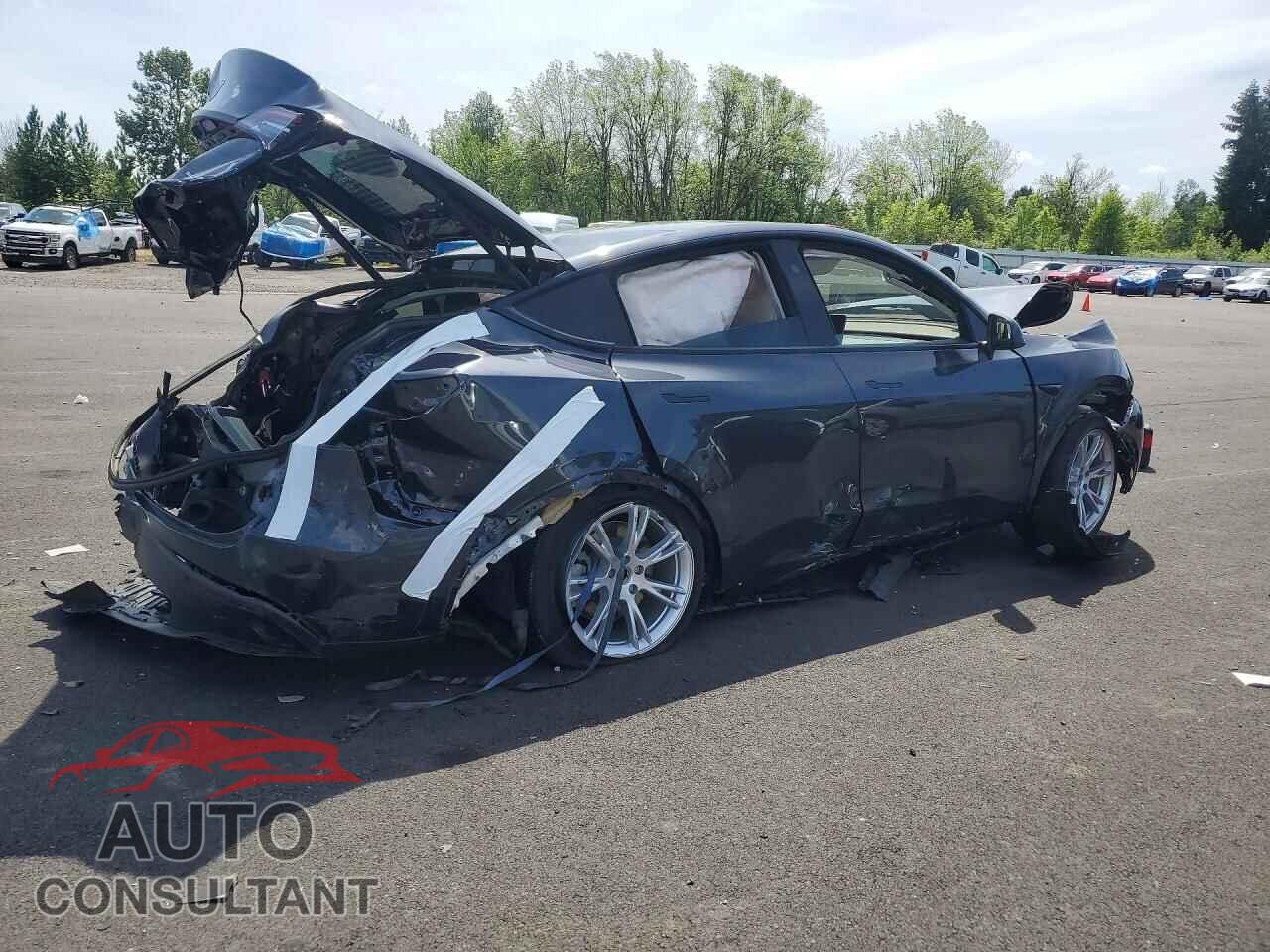 TESLA MODEL Y 2024 - 7SAYGAEE1RF982048