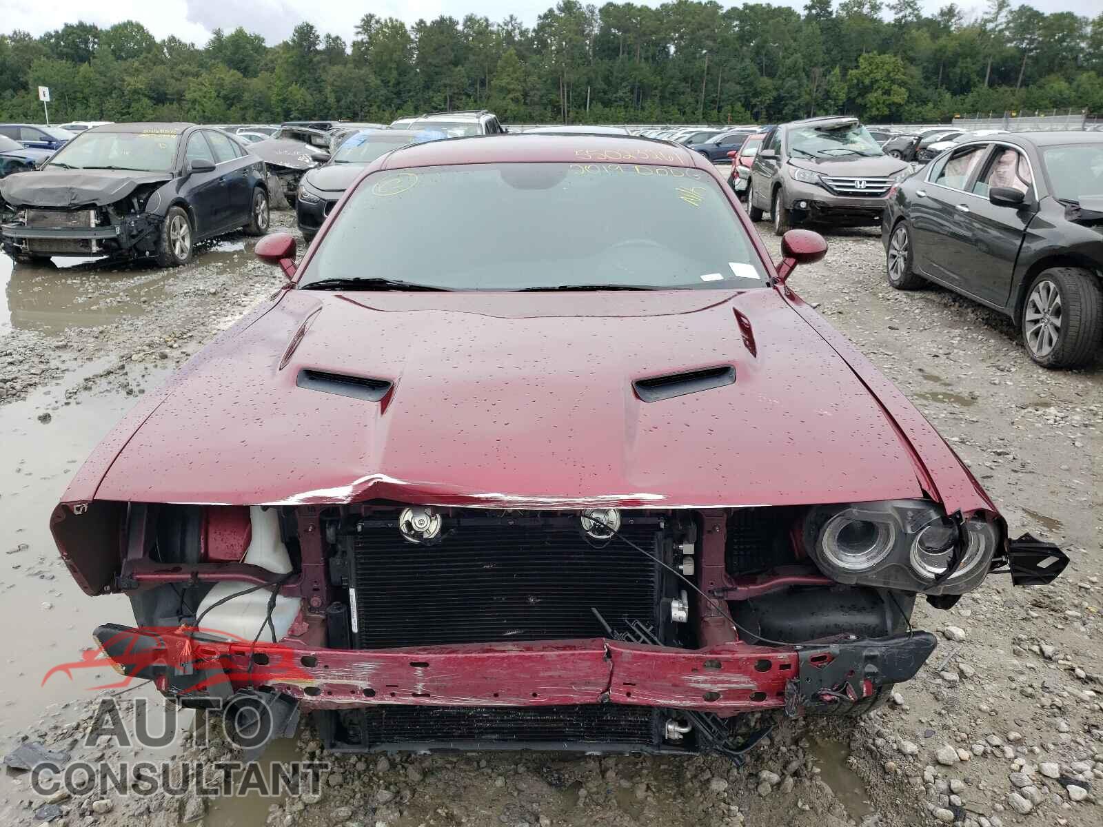 DODGE CHALLENGER 2019 - 2C3CDZGG3KH526117