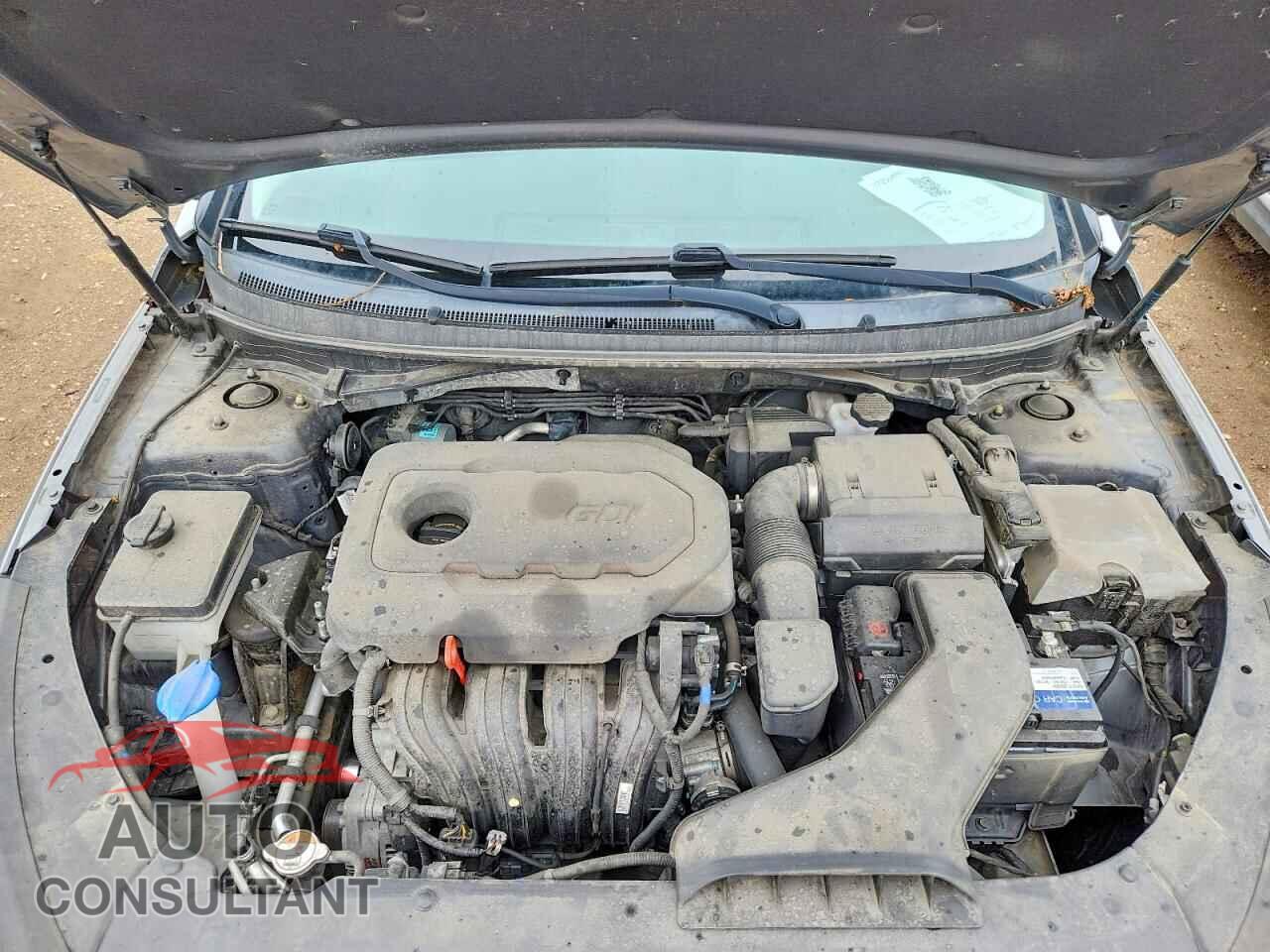 HYUNDAI SONATA 2019 - 5NPE24AF2KH800654