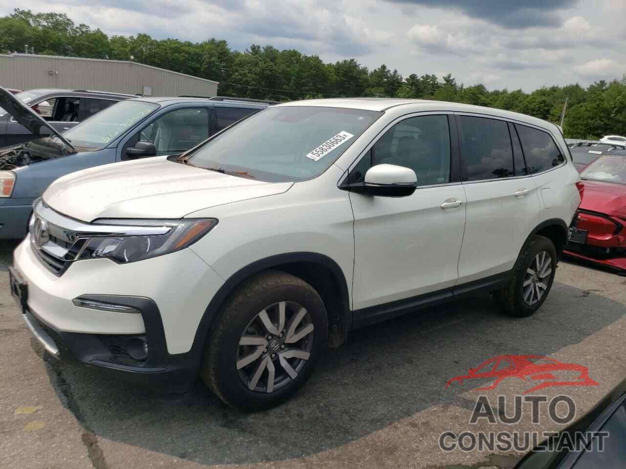 HONDA PILOT 2019 - 5FNYF6H46KB011956