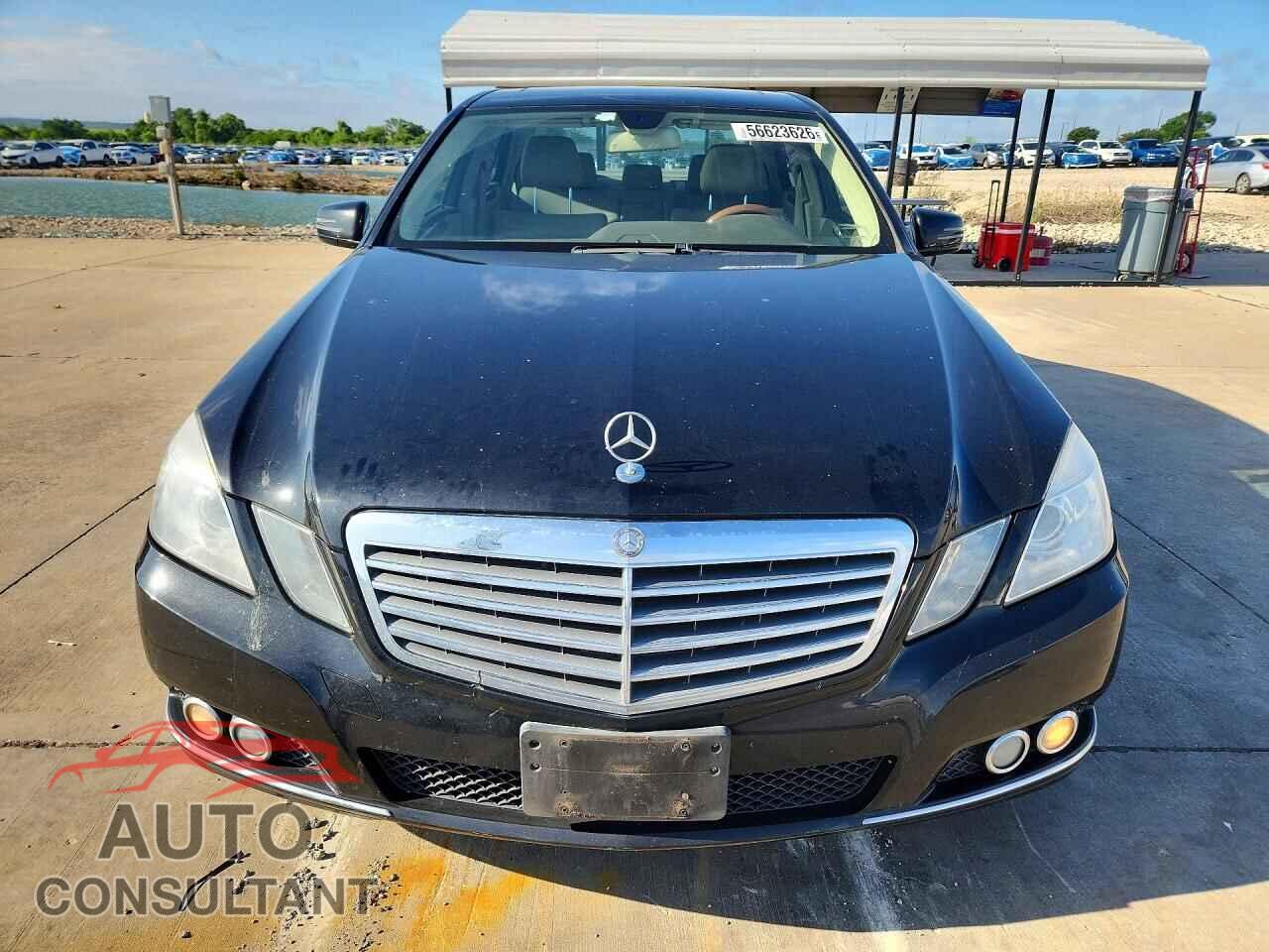 MERCEDES-BENZ E-CLASS 2010 - WDDHF5GB5AA163380