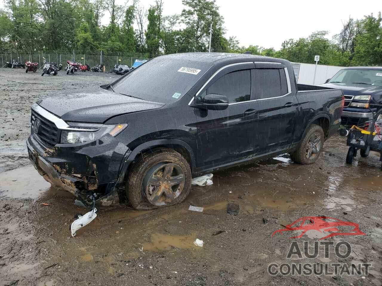 HONDA RIDGELINE 2023 - 5FPYK3F51PB067811
