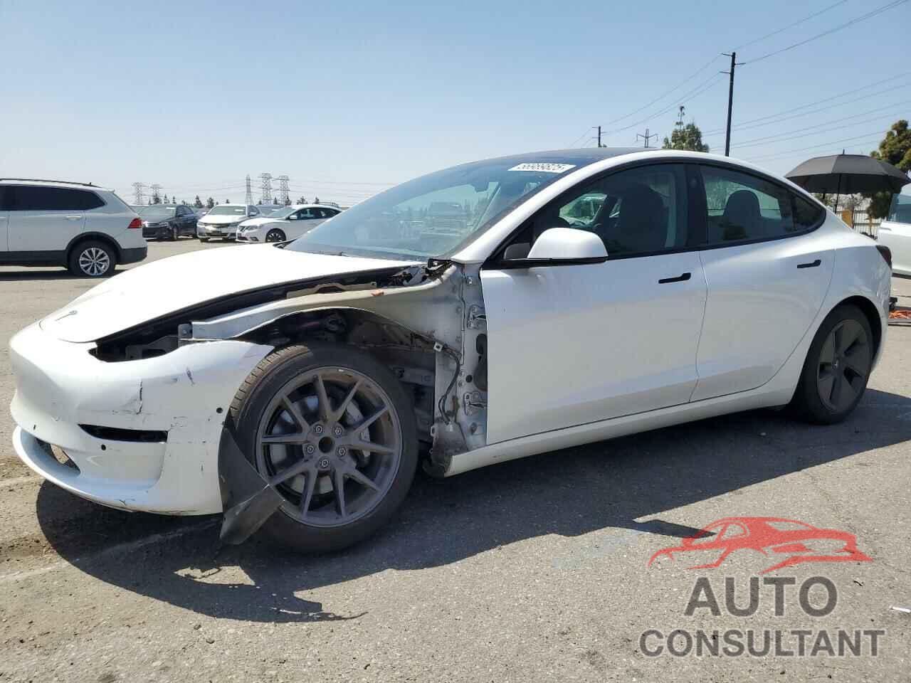 TESLA MODEL 3 2021 - 5YJ3E1EA5MF096205