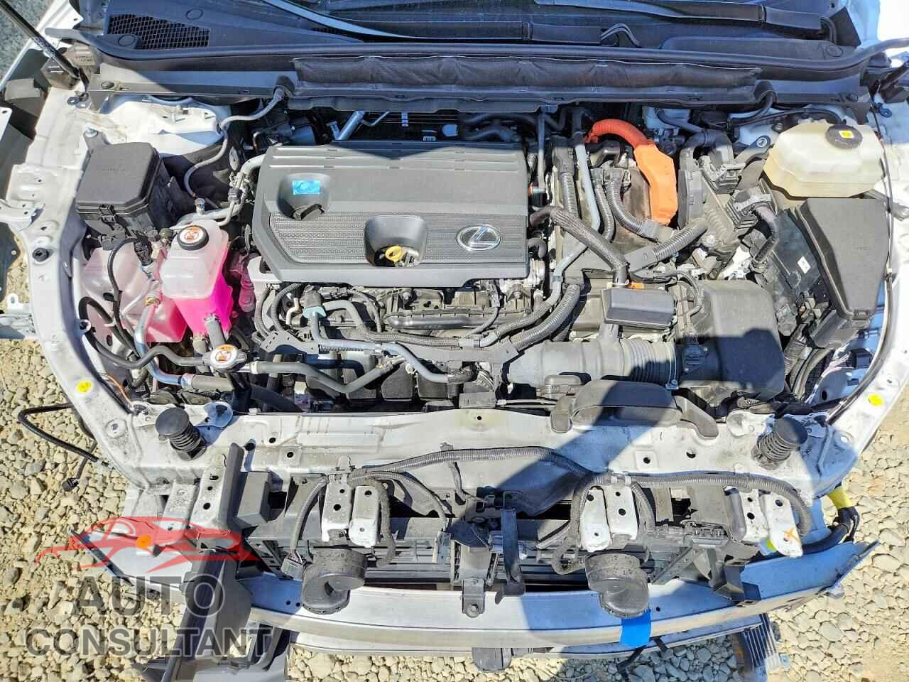 LEXUS UNKNOWN 2023 - 2T2BBMCAXPC013946