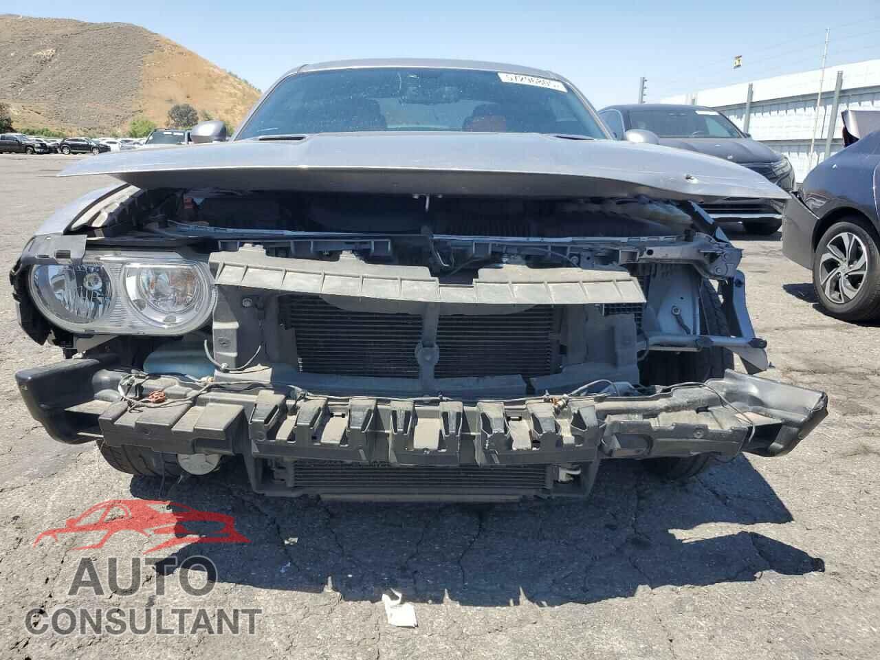 DODGE CHALLENGER 2013 - 2C3CDYAG2DH616154