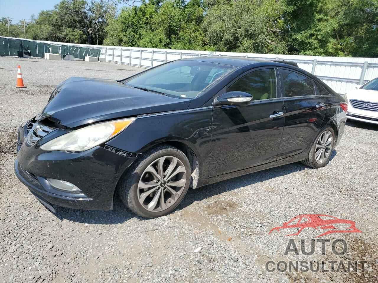 HYUNDAI SONATA 2013 - 5NPEC4AB1DH700896
