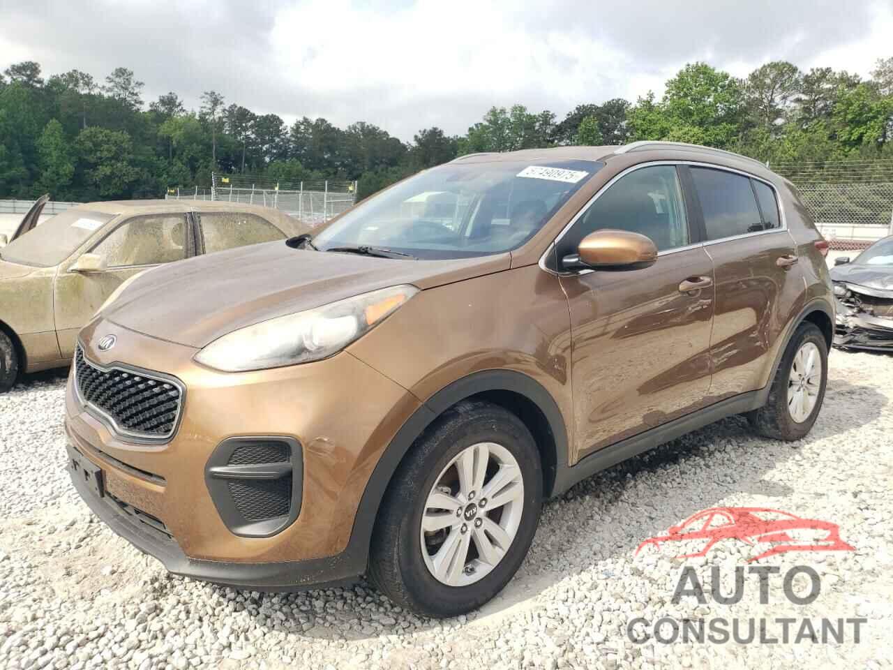 KIA SPORTAGE 2017 - KNDPM3AC5H7043961