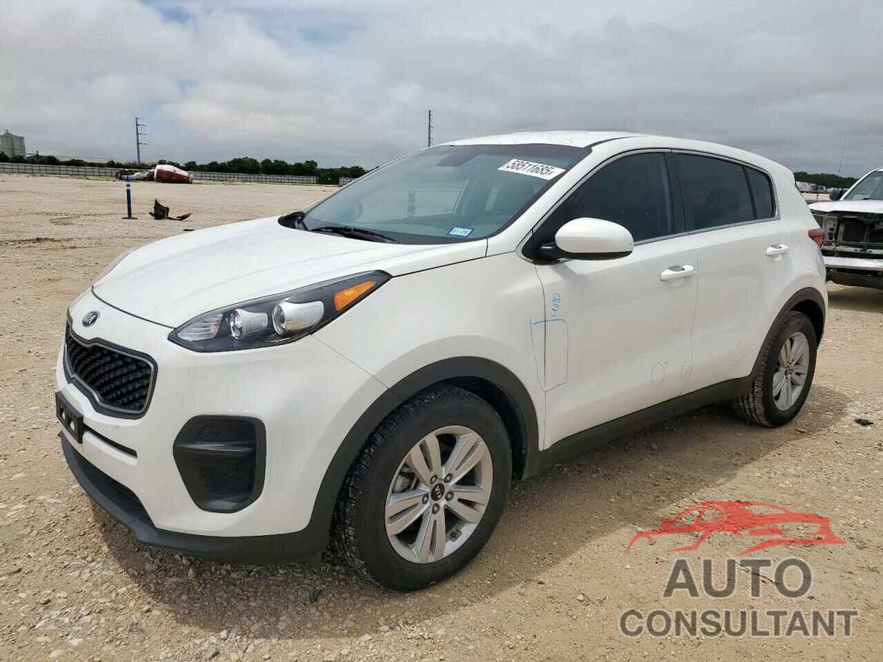 KIA SPORTAGE 2019 - KNDPM3AC3K7505991