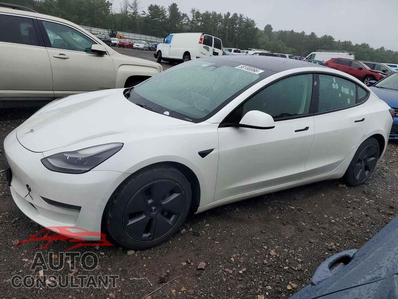 TESLA MODEL 3 2021 - 5YJ3E1EA0MF059076