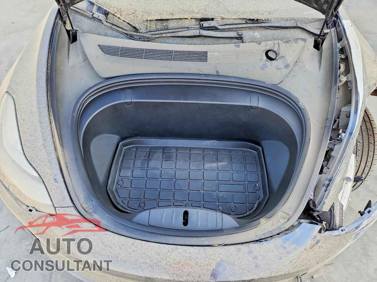 TESLA MODEL 3 2019 - 5YJ3E1EB3KF450423