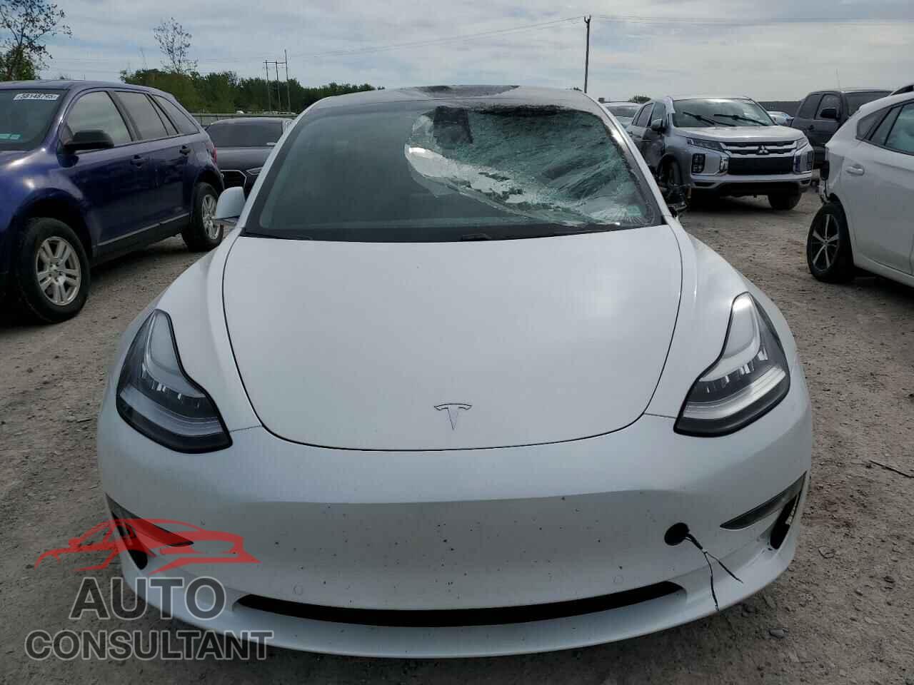 TESLA MODEL 3 2020 - 5YJ3E1EB9LF801059