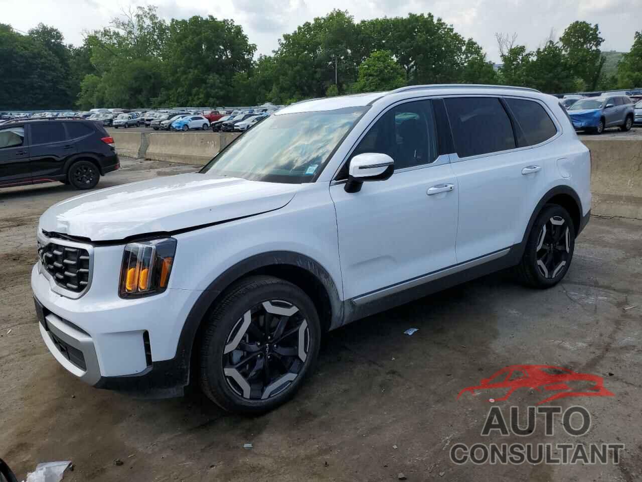 KIA TELLURIDE 2024 - 5XYP6DGC0RG489608