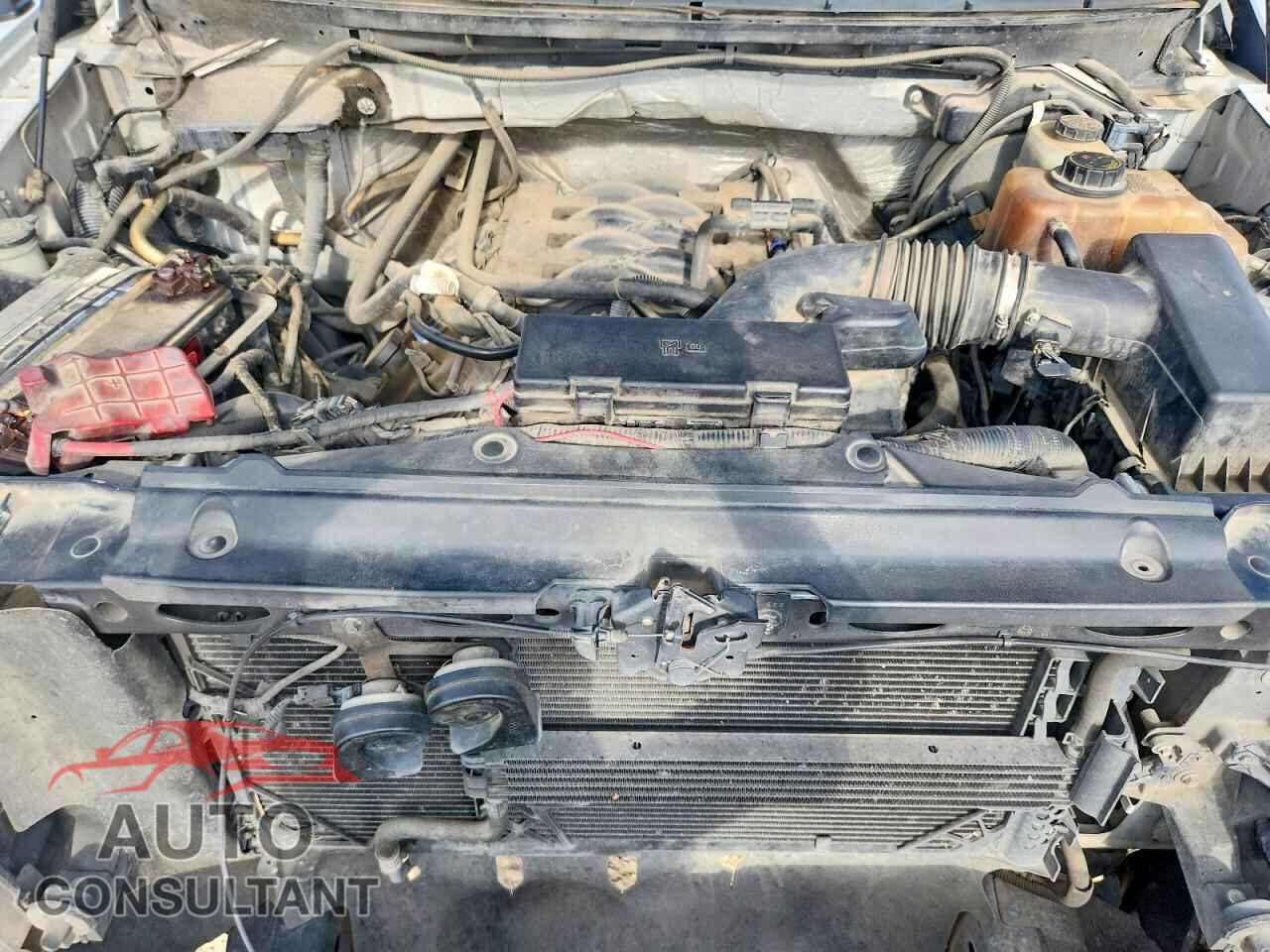 FORD F150 2011 - 1FTFX1EF9BFB59074