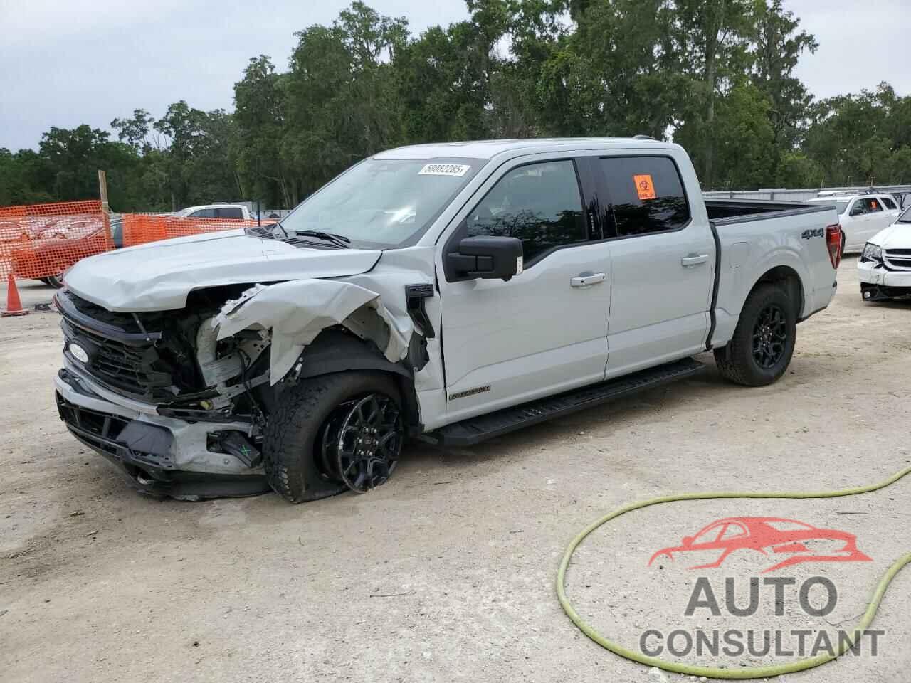 FORD All Models 2024 - 1FTFW3LD1RFB29335