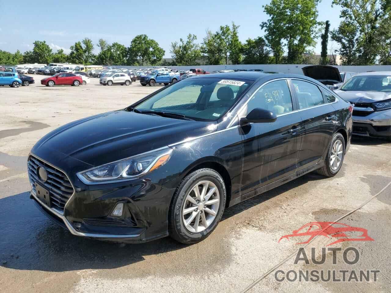 HYUNDAI SONATA 2018 - 5NPE24AF0JH601553