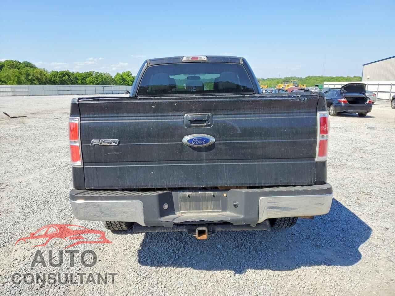 FORD F150 2011 - 1FTFX1EF7BFA82754